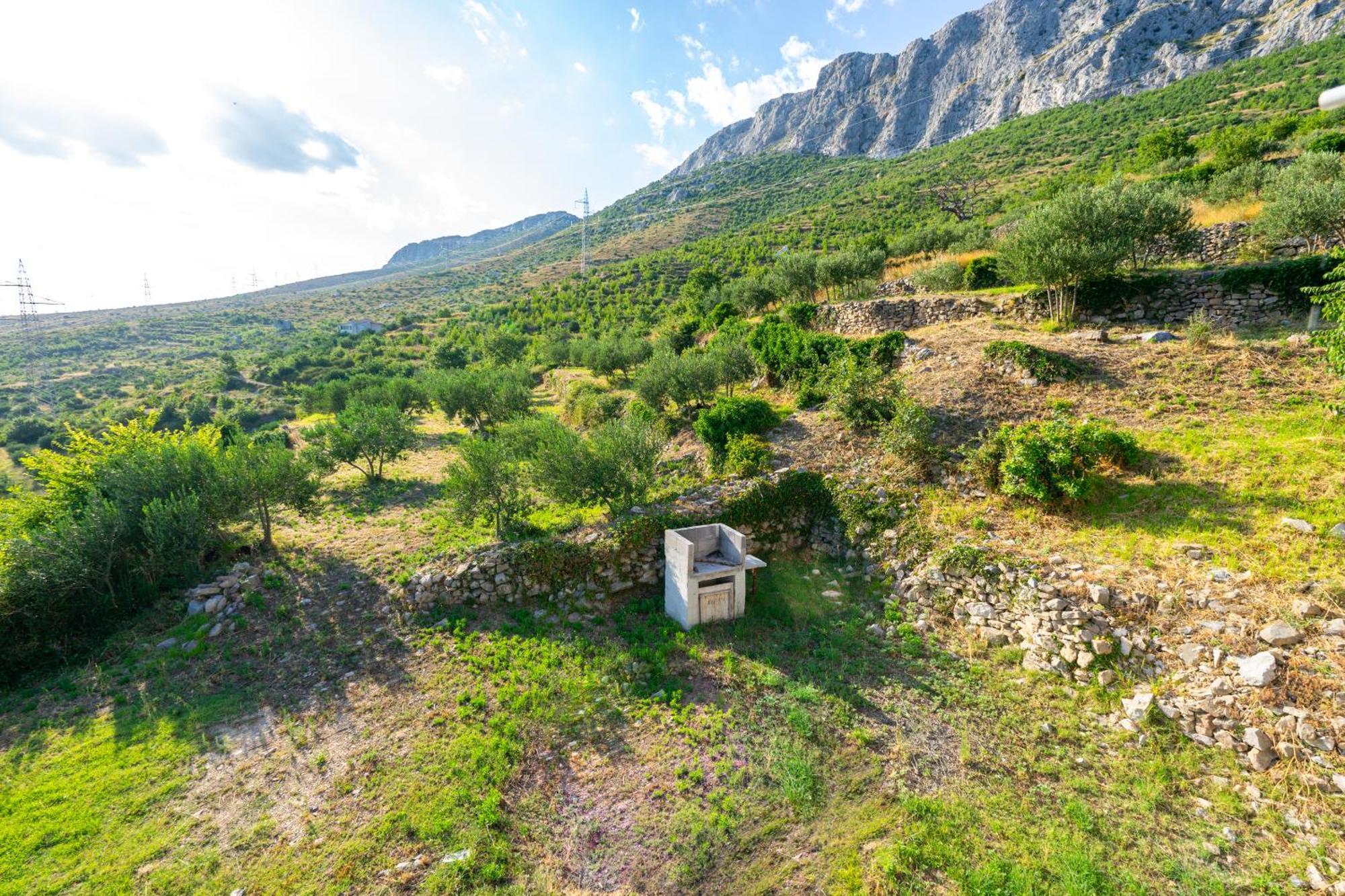 Olive Garden House In Zrnovnica With A View & Bbq Villa Exterior photo